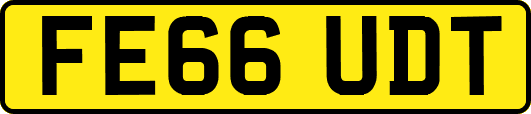 FE66UDT