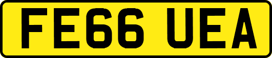 FE66UEA