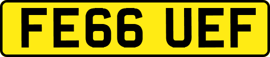FE66UEF