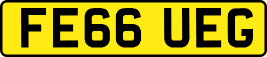 FE66UEG