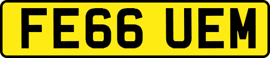 FE66UEM