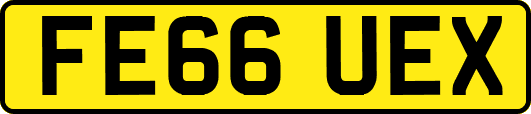FE66UEX