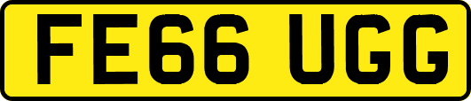 FE66UGG