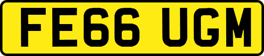 FE66UGM