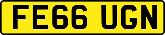 FE66UGN