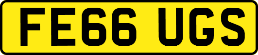 FE66UGS