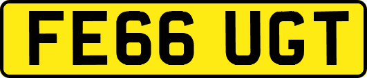 FE66UGT