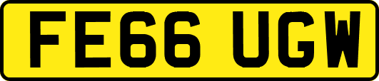 FE66UGW