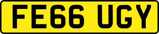 FE66UGY