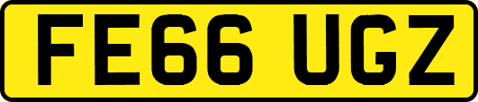 FE66UGZ