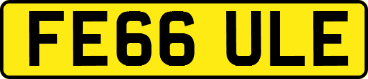 FE66ULE