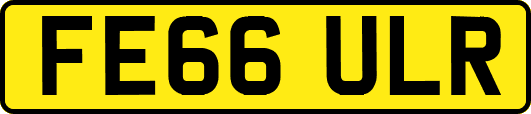 FE66ULR