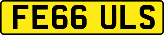 FE66ULS