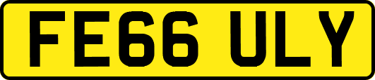 FE66ULY