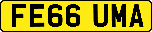 FE66UMA