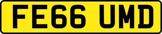 FE66UMD