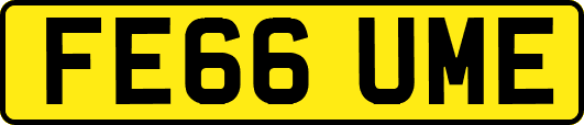 FE66UME
