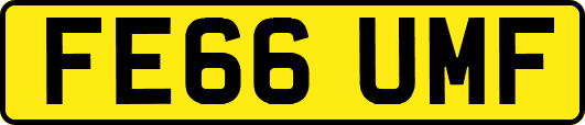 FE66UMF