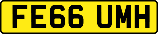 FE66UMH