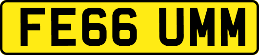 FE66UMM