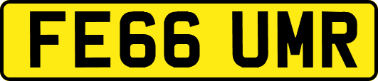 FE66UMR
