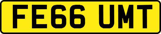 FE66UMT
