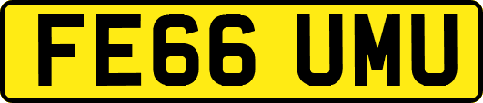 FE66UMU