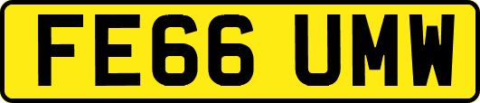 FE66UMW