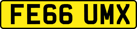 FE66UMX