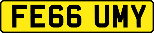 FE66UMY