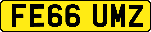 FE66UMZ