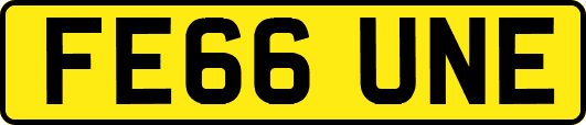 FE66UNE