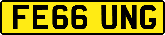 FE66UNG