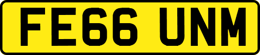 FE66UNM