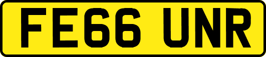 FE66UNR