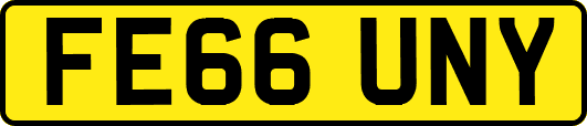 FE66UNY