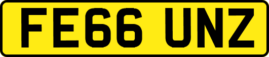 FE66UNZ