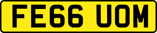 FE66UOM