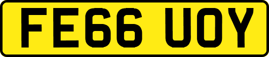 FE66UOY