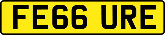 FE66URE