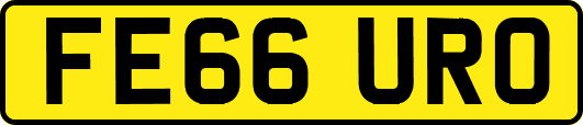 FE66URO