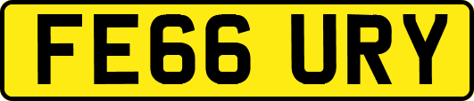 FE66URY