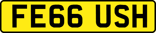 FE66USH