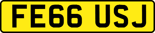 FE66USJ