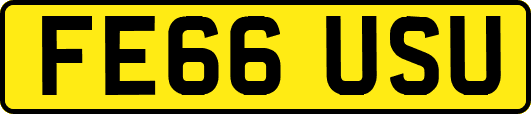 FE66USU