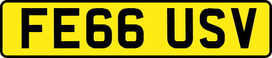 FE66USV