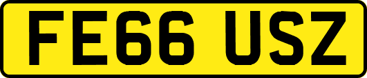 FE66USZ