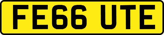 FE66UTE