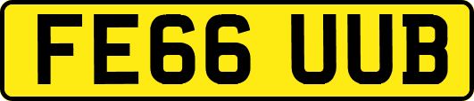 FE66UUB