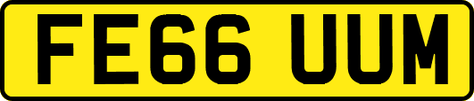 FE66UUM